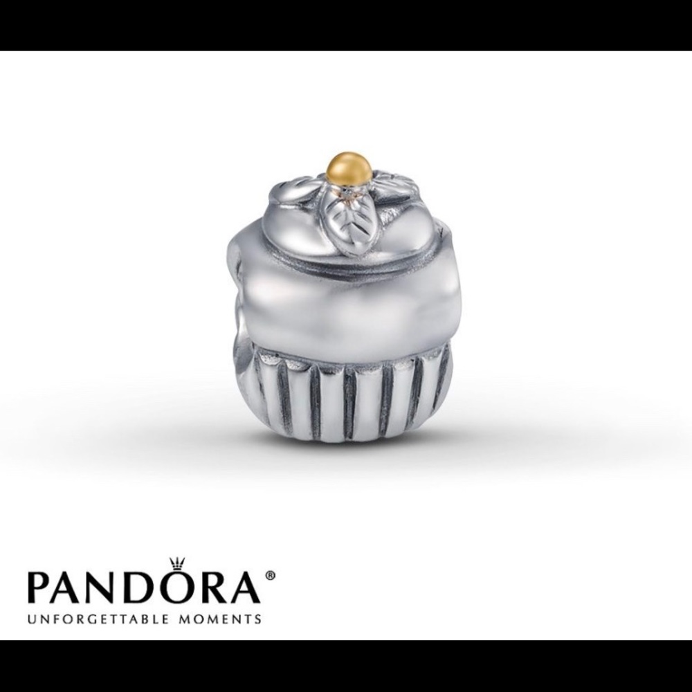 Cupcake pandora charm!